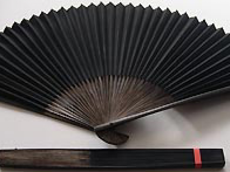 30cm Polished Black Fan