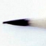 東方萬里 Mixed Hair Tung Fong Man Li Brush 10K Miles in the East Brush- tip