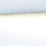頂峰 5號 #5 Goat Hair Ding Fung Excellent Long Tip Brush- tip