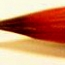 小紅豆 Small Hung Dao (Red Bean) Brush- tip